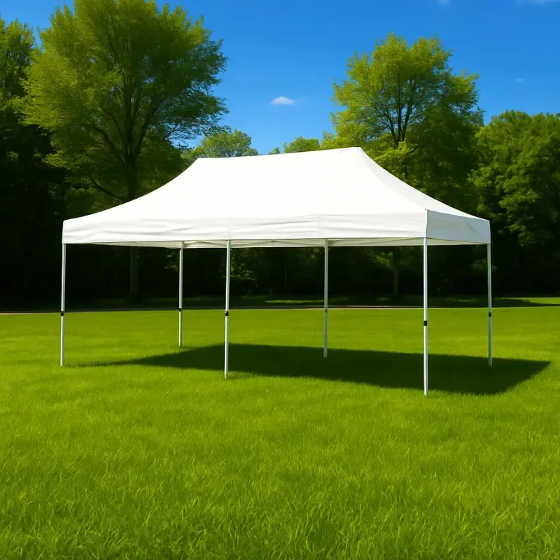 Carpa Plegable 3x6 Economy | MundoCarpasOnline